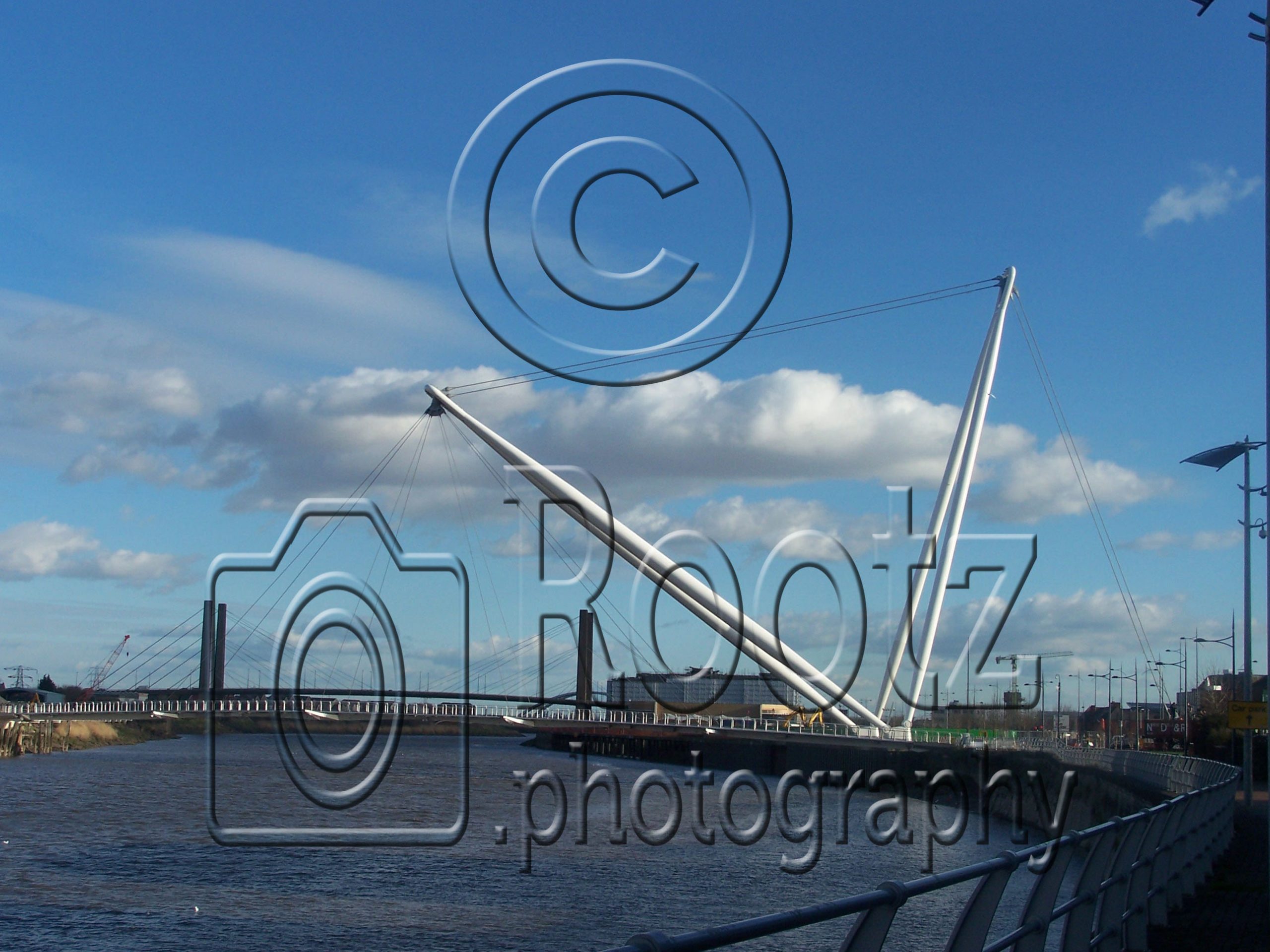 ROOTZPHOTOGRAPH 100